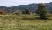 Trail Walking Arâches-la-Frasse - Les Carroz, Mont Favy, pierre à Laya, Araches, remontée par les Nantes praz rôti, retour par les grangettes - Photo 8