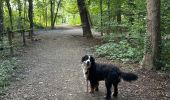 Tour  Ostwald - Promenade Tayla  - Photo 2