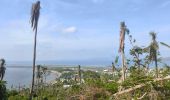 Trail Walking Pamandzi - GR1 PAMANDZI - PETITE TERRE / MAYOTTE - Photo 3