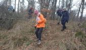 Trail Walking Fontainebleau - cabaret masson 10 février 2023  - Photo 1