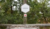 Tour Wandern Weismes - 20211011 - Signal Botrange - 6.4 Km - Photo 11