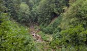 Randonnée Marche Le Frasnois - balade des cascades du Hérisson  - Photo 4