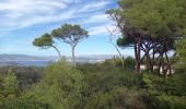 Trail Walking Cannes - Ile Ste Marguerite 2/10/22 - Photo 15
