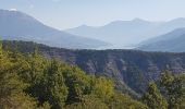 Tocht Elektrische fiets Chorges - le tour du lac de Serre Ponçon - Photo 2