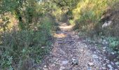 Trail Walking Draguignan - Malmont 10 km - Photo 6