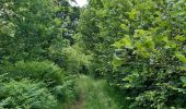 Randonnée Marche Trois-Ponts - autour de Wannes et Henimont - Photo 5