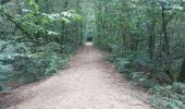 Trail Walking Plouay - PR_56_Plouay_AA_01_Manehouarn-Au-Scorff_Circuit1b_20240904 - Photo 2