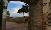 Trail On foot Piombino - IT-302 - Photo 8