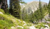 Excursión Senderismo Belvédère - Relais Merveille-Madone de la Fenestre - Photo 6