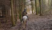 Trail Horseback riding Viroinval - Oignies grand tour - Photo 1