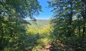 Tour Wandern Bouillon - Le Sentier des Points de Vues - Bouillon - Photo 4