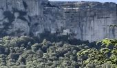 Excursión Senderismo Plan-d'Aups-Sainte-Baume - Hostellerie de la Ste Baume / Pas de L'AÏ / Le paradis / Col de St Pilon  16 juin 2022 - Photo 1