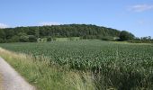 Randonnée A pied Hünfeld - Mackenzell Rundweg Nr. 9 - Photo 2