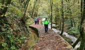 Tour Wandern Aubazines - coiroux - Photo 9