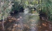 Tocht Stappen Saint-Philbert-sur-Orne - La roche d’oëtre  - Photo 13