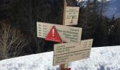 Trail Walking La Plagne-Tarentaise - Les Frasses  - Photo 1