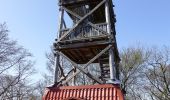 Tour Zu Fuß Waldkappel - Rundweg Ziegenküppel - Photo 4