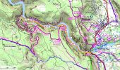 Trail Walking Montmeyan - Basses gorges du Verdon depuis Quinson - Photo 1