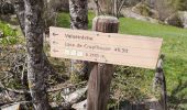 Trail Walking Champoléon - Valestreche et le Gourette depuis les Beaumes. 01/05/19. - Photo 12