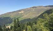 Trail Walking Bagnères-de-Bigorre - J14- Lac de Peyrelade fait  - Photo 11