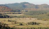 Trail Walking Aydat - Es pinasse. Combegrasse  - Photo 2