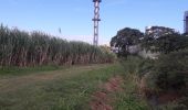 Percorso Marcia Le Robert - Pointe Savane plage des Resignier - Photo 16