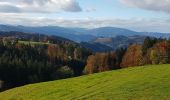 Tocht Stappen St. Märgen - Cascade Zweribach depuis Sankt Märgen - Photo 1