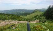 Excursión Senderismo Mont-Dore - départ Capucin vers puy de Sancy en passant par le pas de l'âne retour chemin des artistes 2019-25-06  - Photo 3