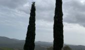 Excursión Senderismo La Londe-les-Maures - Dolmen de Gautabry par le vallon de Tamary - Photo 1