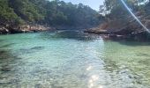 Tour Wandern Marseille - Calanques d’en vau- port pins - Photo 2