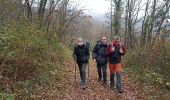 Randonnée Marche Fozières - Fauzieres jolie balade, fangouze, belle montée et retour dans la foret - Photo 19