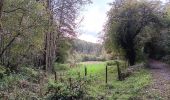 Trail Walking Modave - modave - clavier station, retour par la ligne 126 - Photo 18