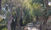 Trail Trail Ville-di-Pietrabugno - Cima di Gratera  - Photo 1