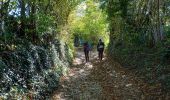 Trail Walking La Buisse - Roche Brune par le Grand Ratz - Photo 15