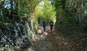 Excursión Senderismo La Buisse - Roche Brune par le Grand Ratz - Photo 15