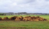 Tour Wandern Mettet - Balade à Biesme - La Colonoise - Photo 6