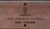 Percorso Marcia Chaudfontaine - 20220724 - TOTEMUS Chaudfontaine - 5.7 Km - Photo 20