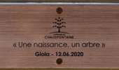 Trail Walking Chaudfontaine - 20220724 - TOTEMUS Chaudfontaine - 5.7 Km - Photo 20