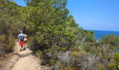 Trail Walking Santo-Pietro-di-Tenda - sentier côtier entre la plage du Lotus et Sallecia - Photo 8