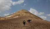 Tour Zu Fuß Arad - IL-11042 - Photo 8