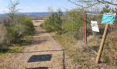 Trail Walking Terres de Bord - rando du 19 mars 2021 - Photo 1