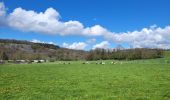 Tocht Stappen Rochefort - rando belvaux 28-04-2023 - Photo 20