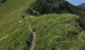 Trail Walking Montriond - Lac de Montriond - Roc de Tavaneuse - Photo 9