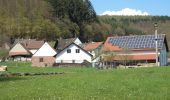 Tour Zu Fuß Schollbrunn - Rote Schnepfe, Rundwanderweg Schollbrunn - Photo 7