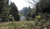 Percorso A piedi Sconosciuto - Castlewellan Forest Park - Cypress Pond Walk - Photo 5