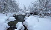 Trail Walking Saint-Hubert - Saint-Hubert 08 janvier 2021_22km - Photo 2