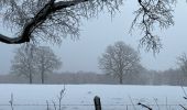 Tour Wandern Stablo - Stavelot 20,6 km - Photo 11