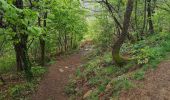 Tour Wandern Aubazines - Reco-Lac de Coiroux-2024-04-25 - Photo 6