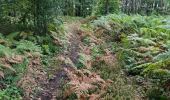 Tour Wandern Fréteval - Fréteval - Etang Champs Bois Donjon - Photo 14