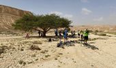 Trail On foot Central Arava Regional Council - IL-17431 - Photo 1